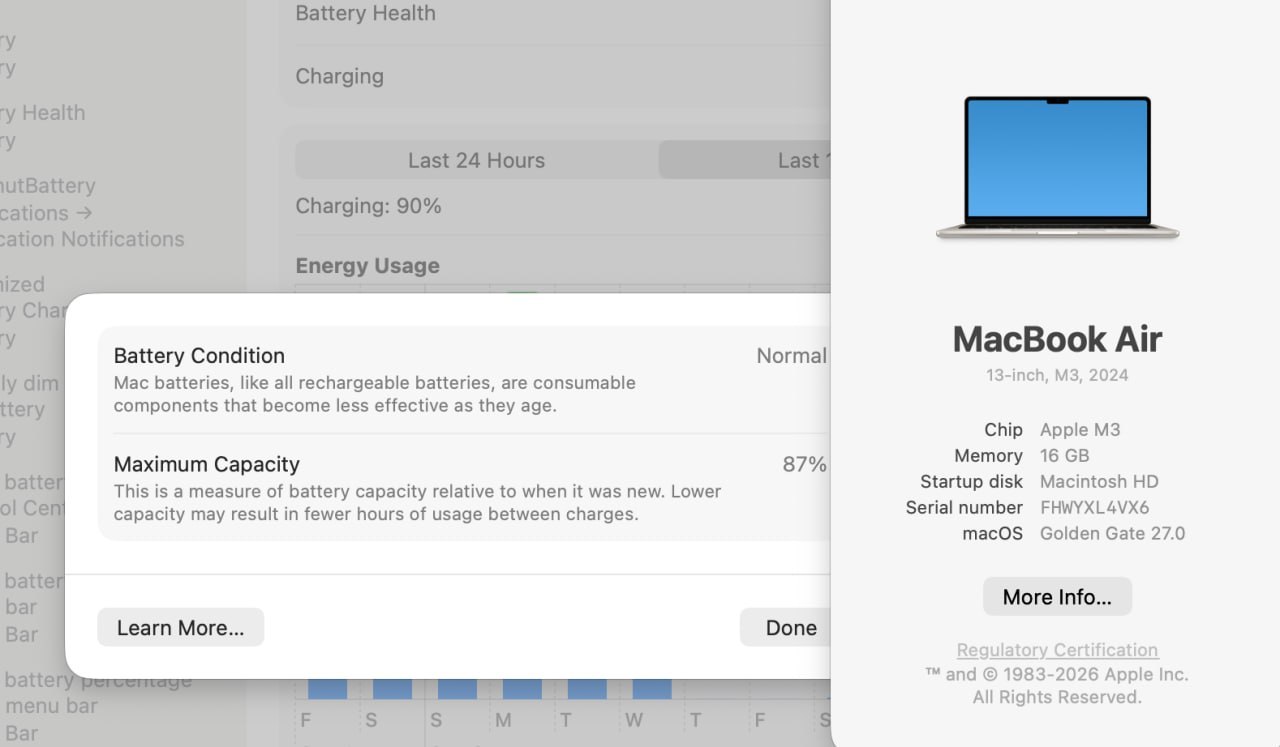 MacBook Air M3 13" 16GB / 512GB