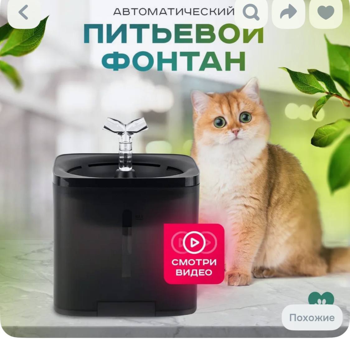 Фонтанчик для кошек и небольших собак
