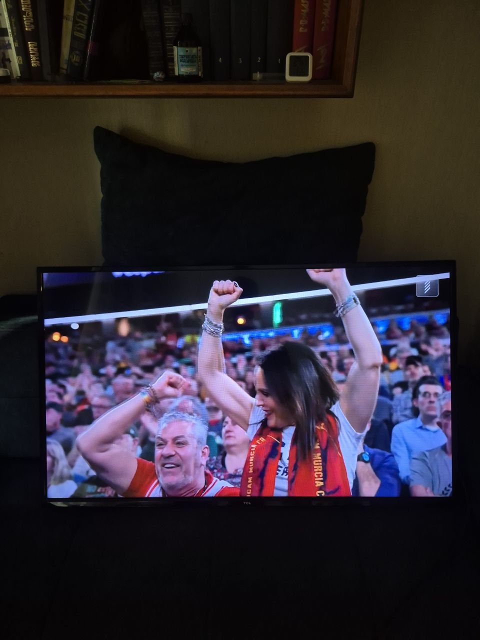 Телевизор TCL LED43D3000 43 дюйма