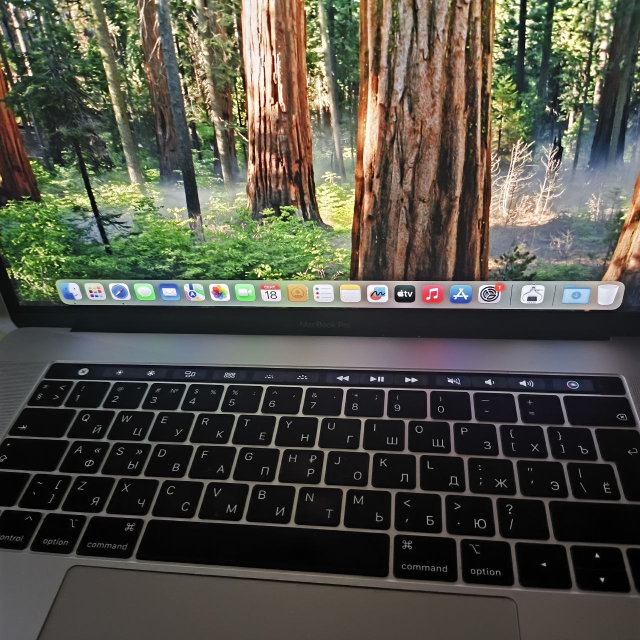 MacBook Pro 15.4" 2018 (i7, 32GB, 1TB SSD, Vega 20)