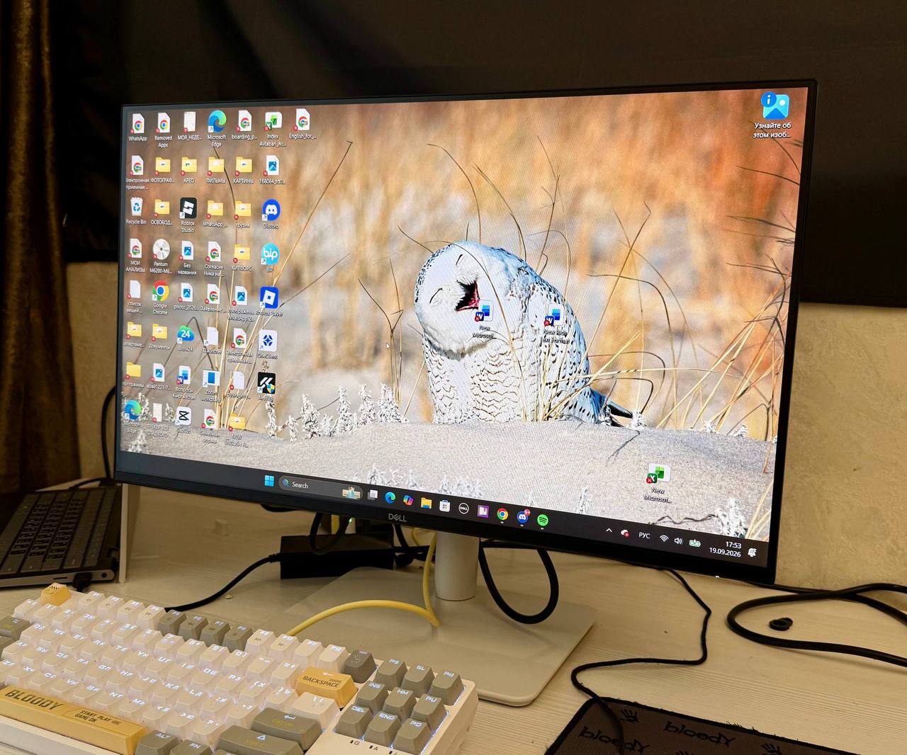 Монитор DELL Plus S2425HSM 24" IPS FHD White