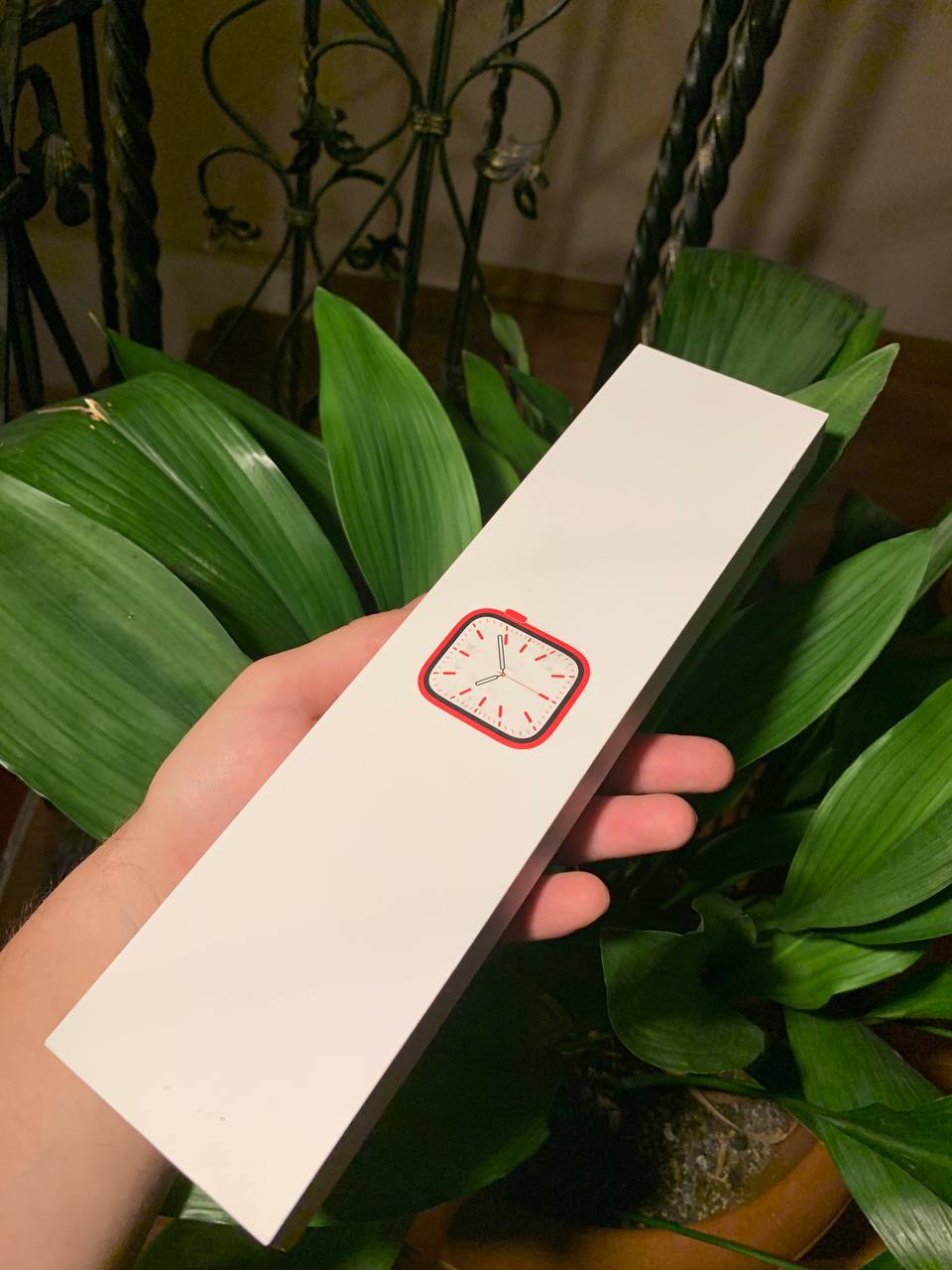 Apple Watch Series 7 GPS 45 мм