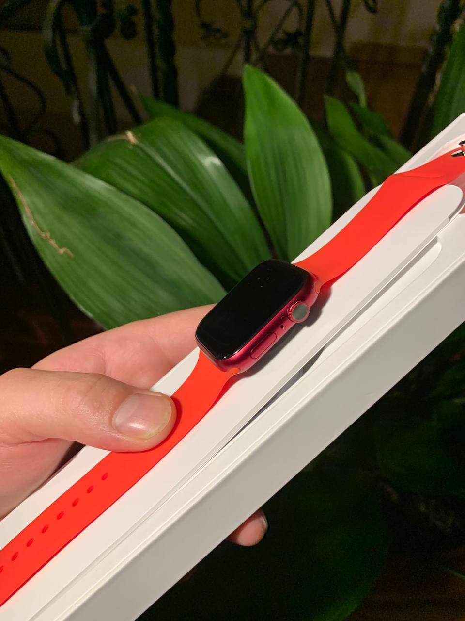 Apple Watch Series 7 GPS 45 мм