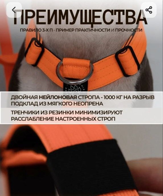 Анатомическая шлейка L