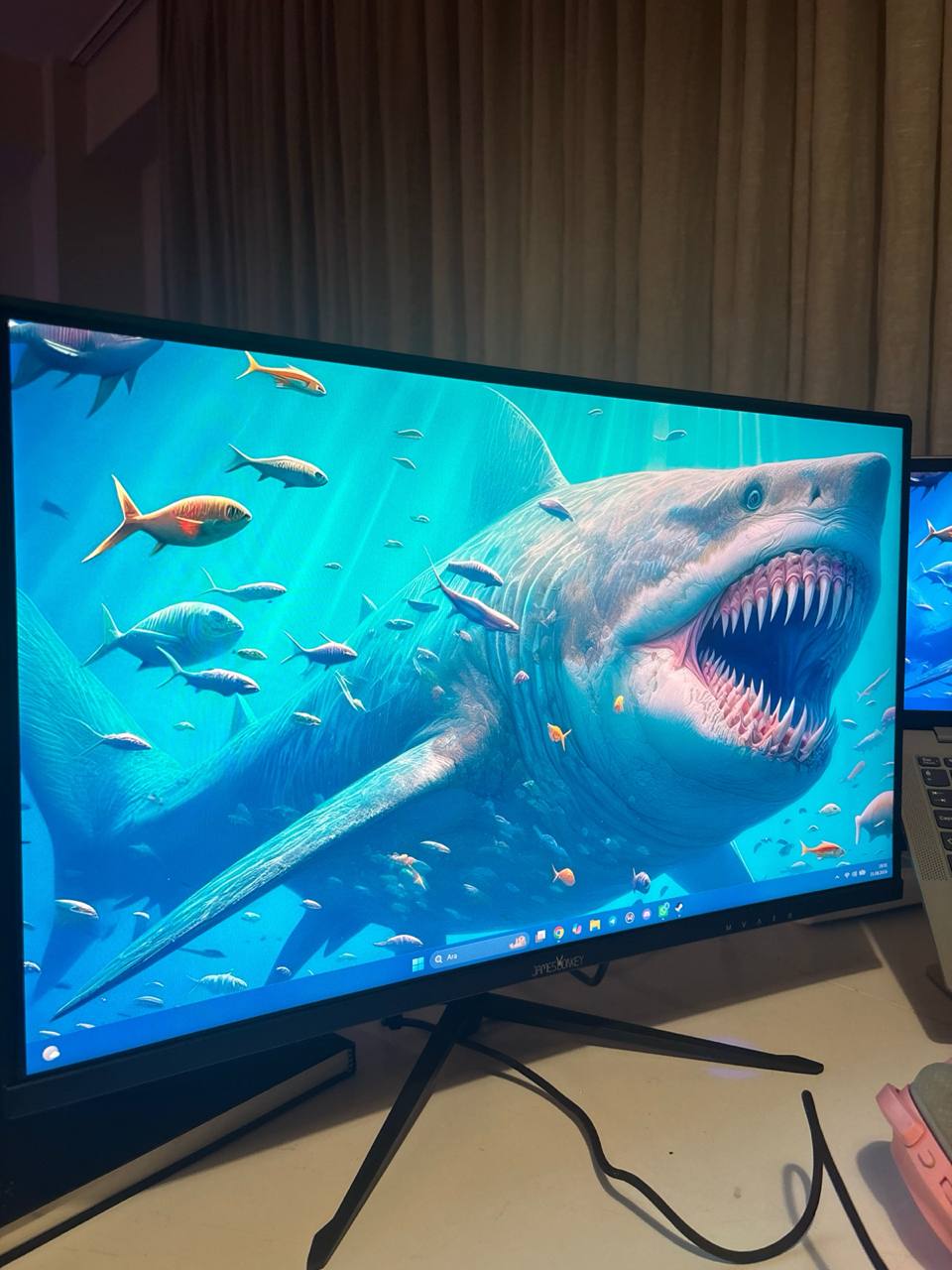 Монитор James Donkey Rion R10 24" 165Hz