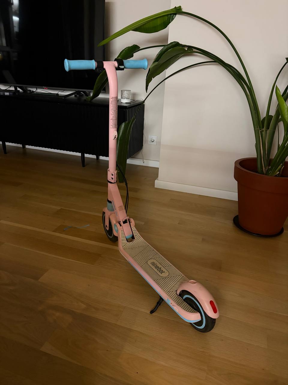 Электросамокат Ninebot ZING E8 детский