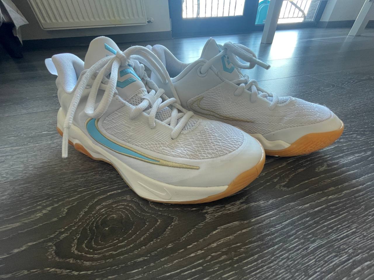 Кроссовки Nike Giannis Immortality 4, размер 36,5