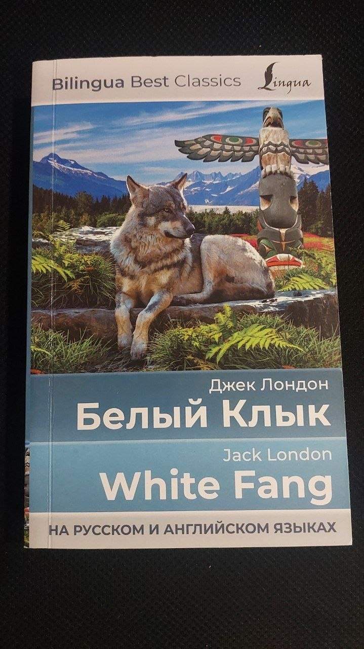 Книги (по 10 лари)