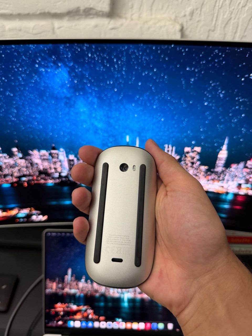Apple Magic Mouse Type C черный