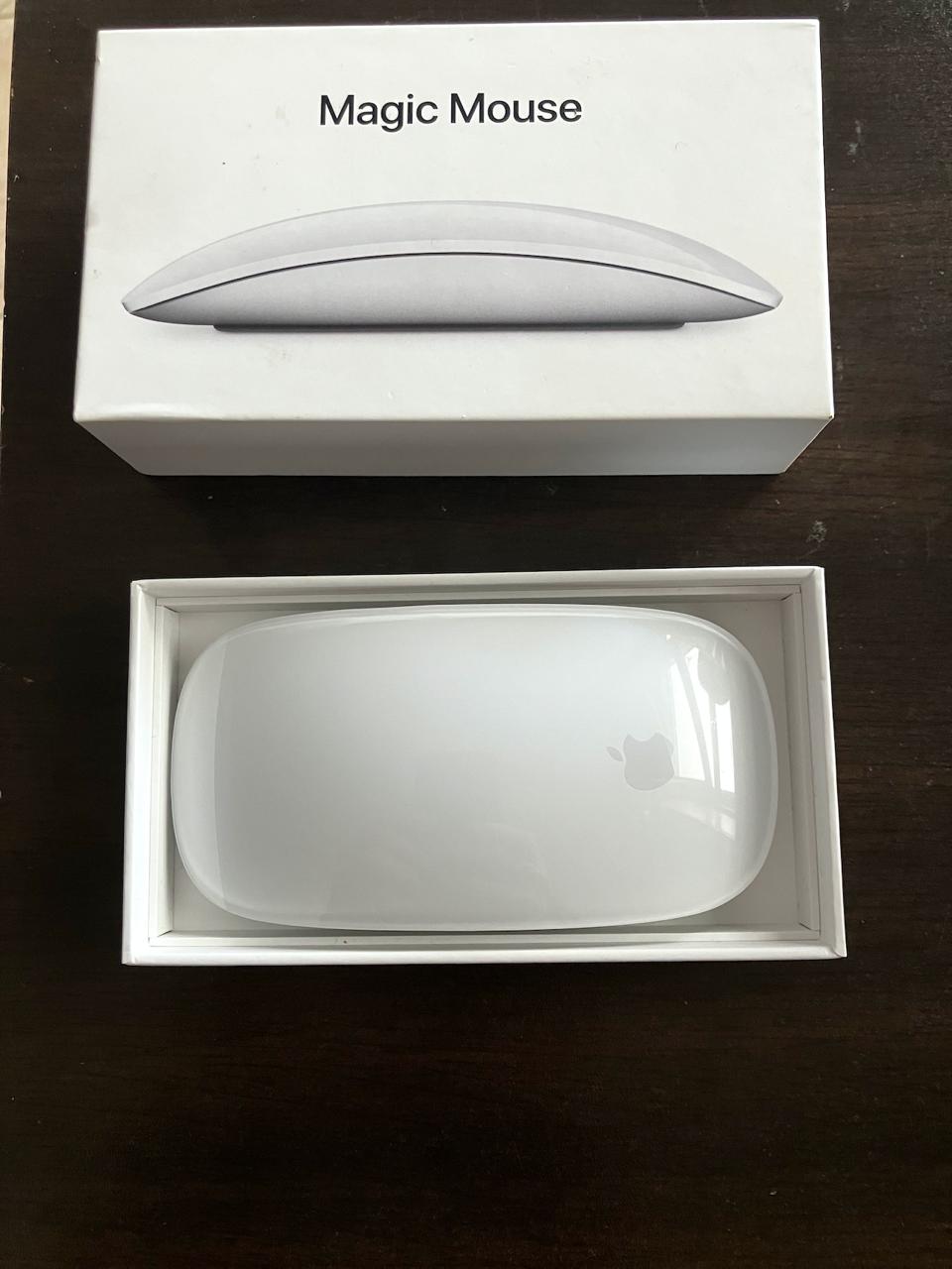 Apple Magic Mouse (MK2E3ZM/A)