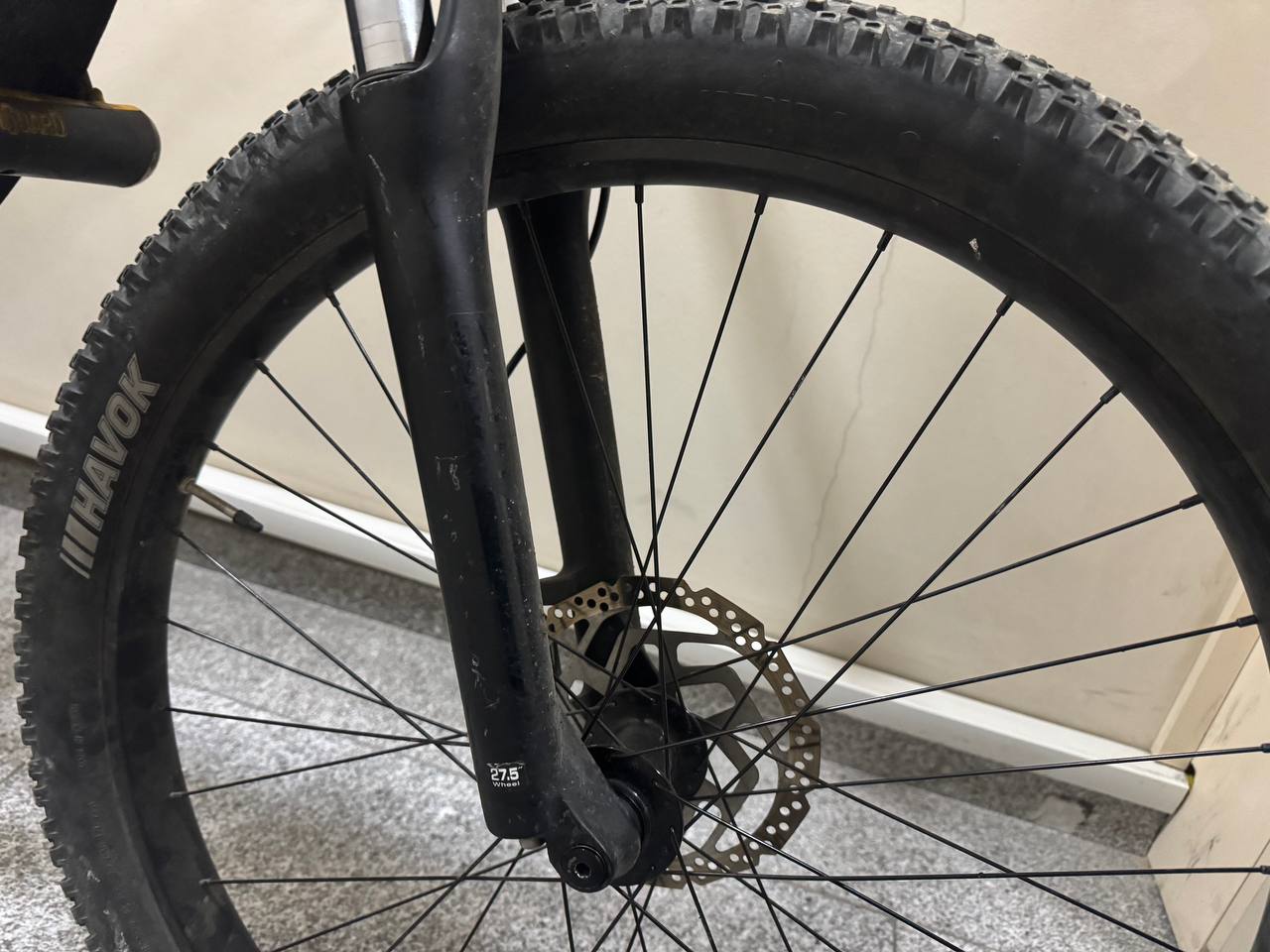 Trek Roscoe 6 2021, рама L
