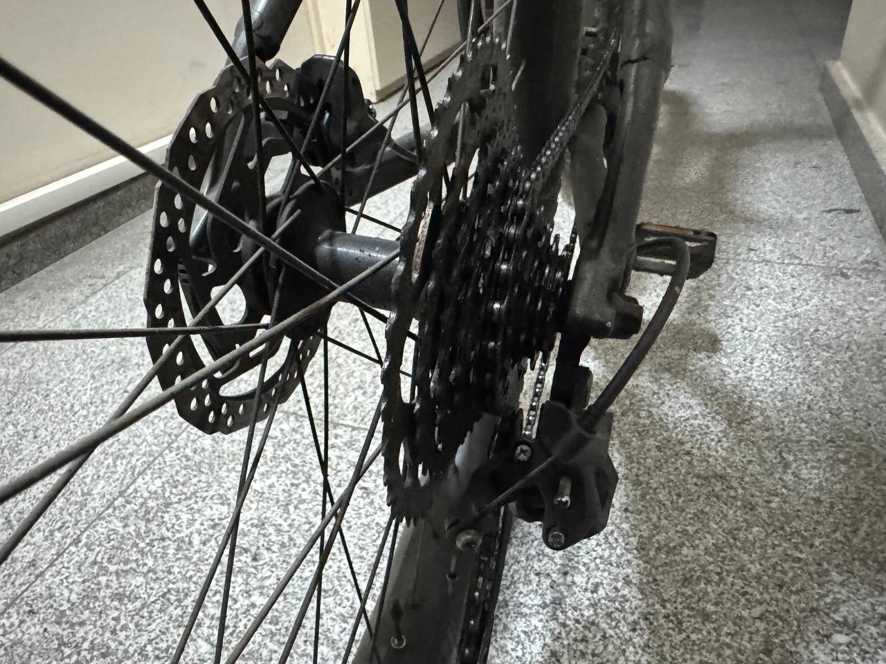 Trek Roscoe 6 2021, рама L