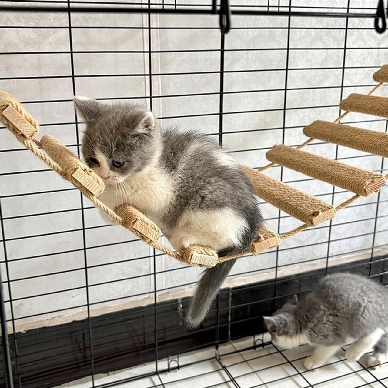 Веревочная лестница для котов, 2 метра