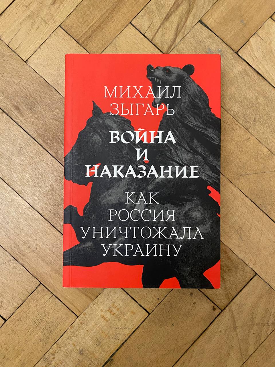 Михаил Зыгарь «Война и наказание»