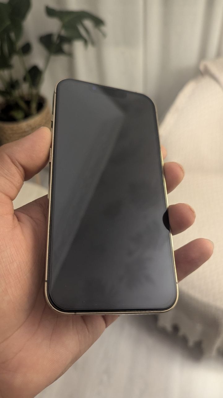 iPhone 13 Pro 256 ГБ