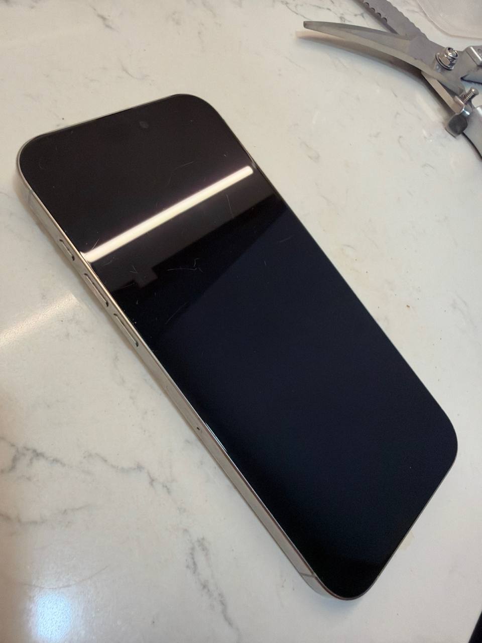 iPhone 16 Pro Max 512 ГБ