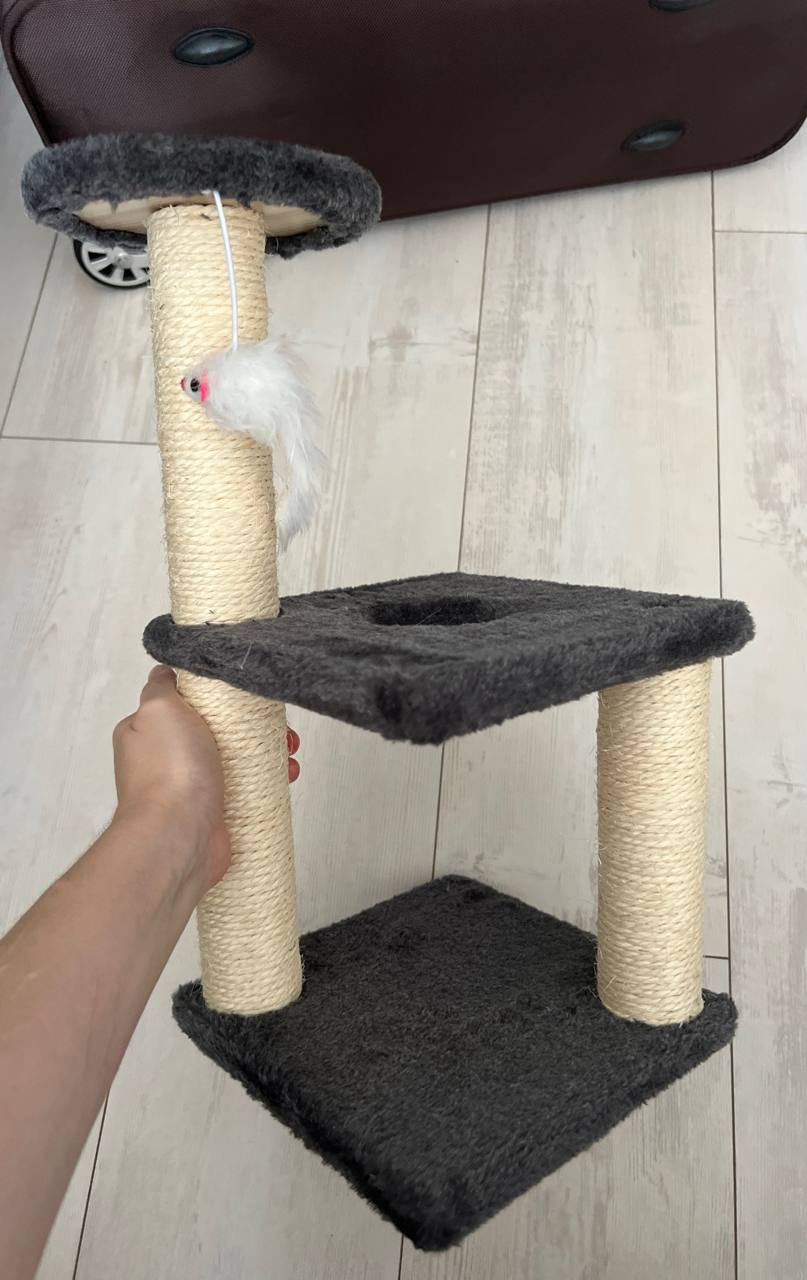 Когтеточка для котенка