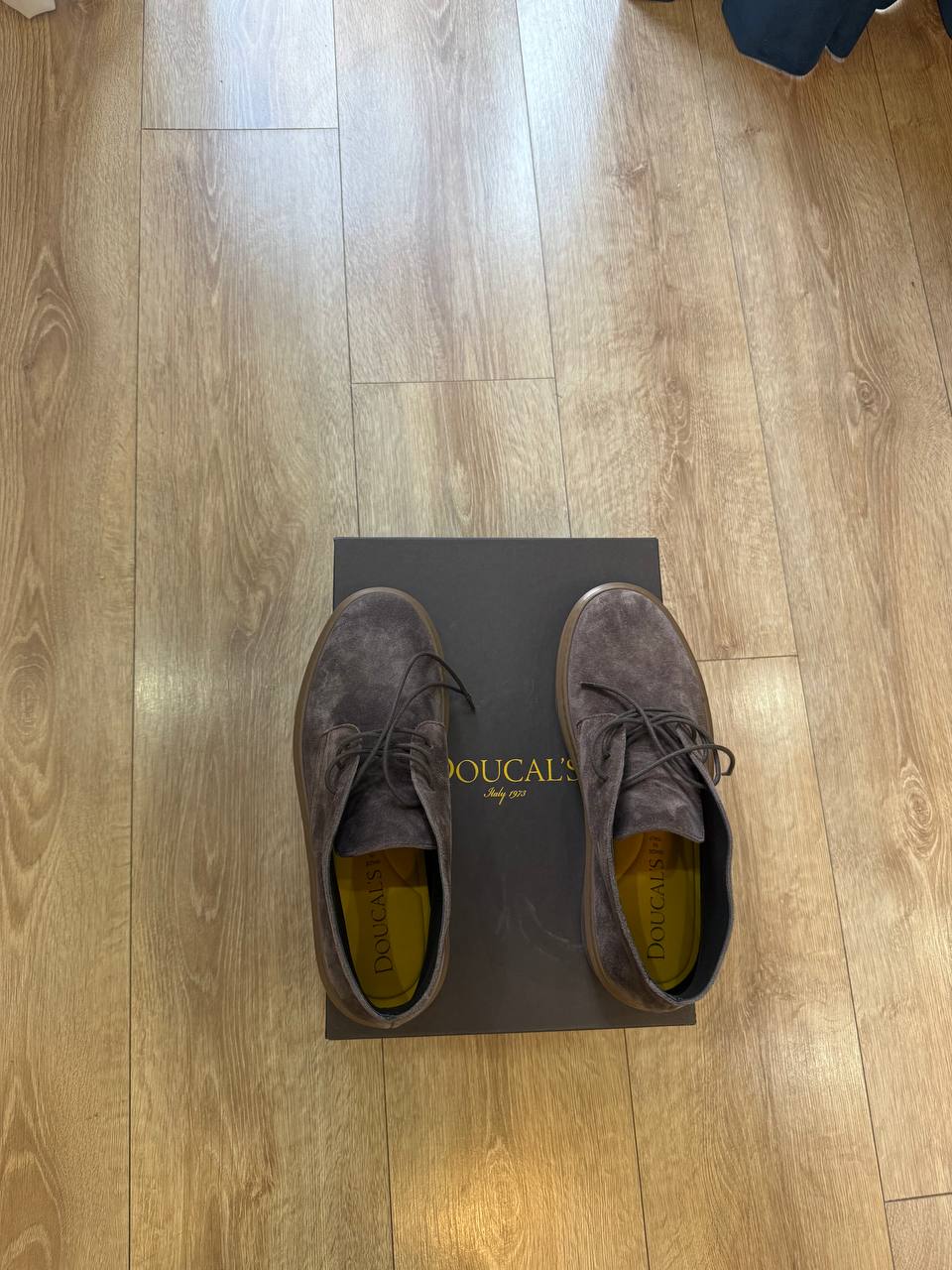 Doucal's Italy New