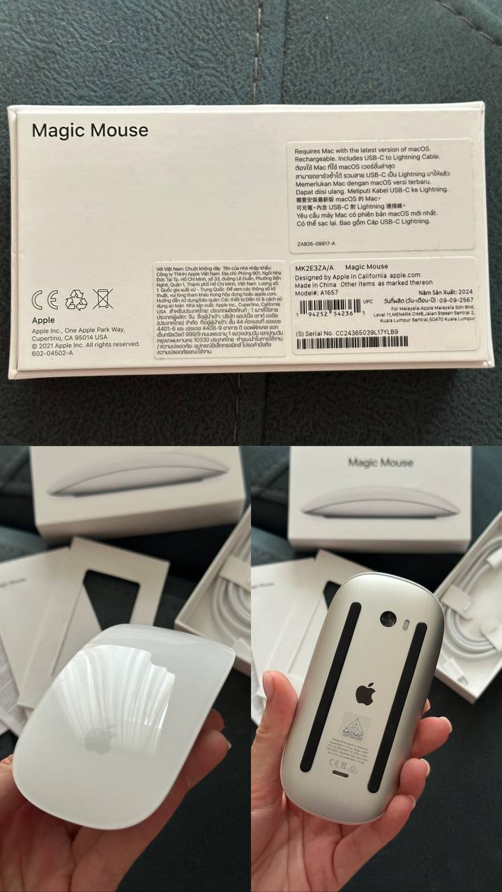 Apple Mouse