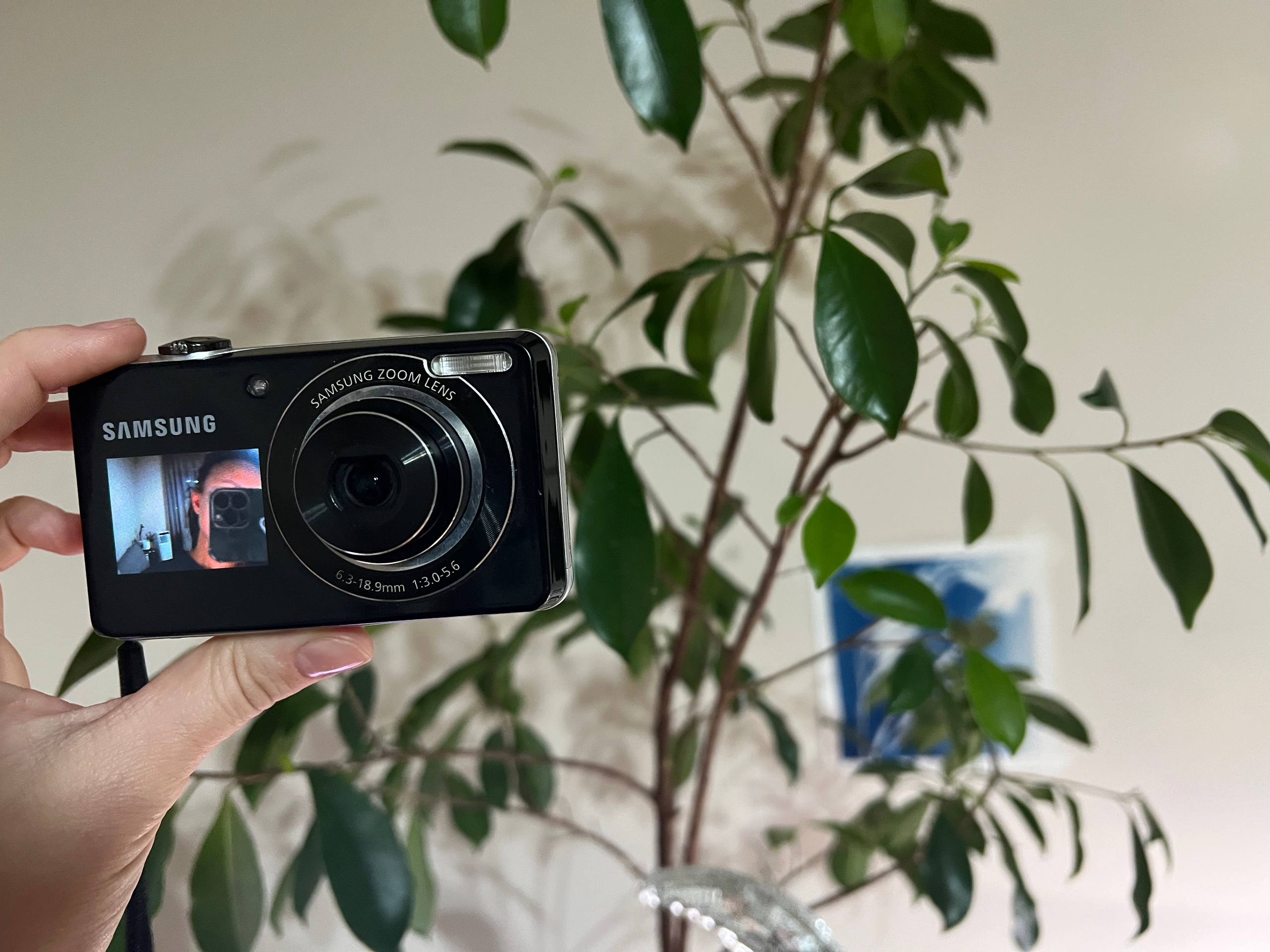 Samsung PL100 цифровая камера
