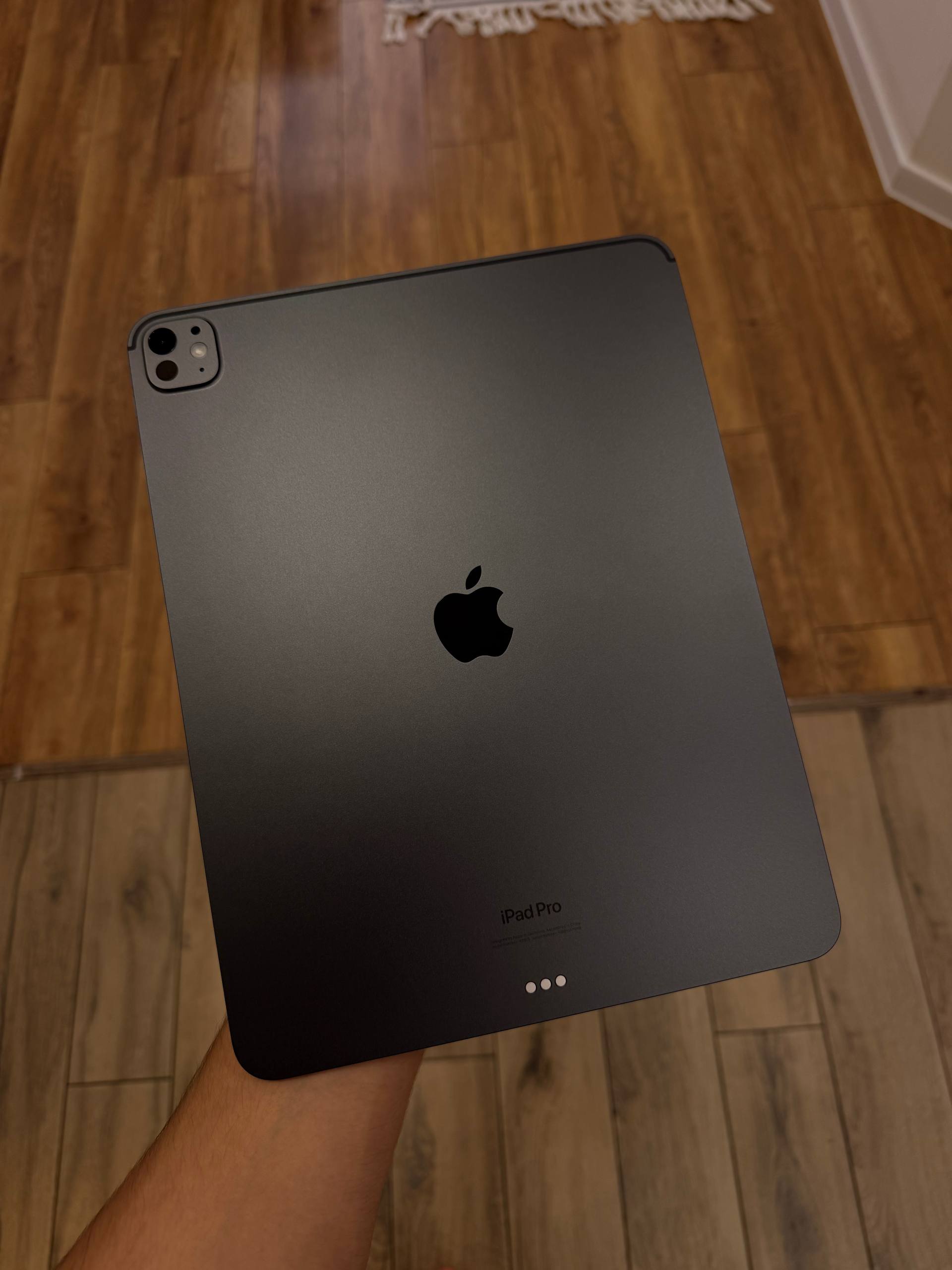 iPad Pro 13 M4 256 GB Black
