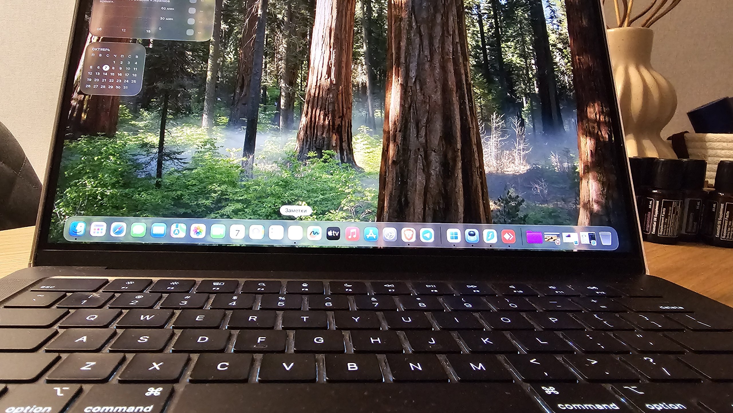 MacBook Pro 14" M3 Pro 36GB 1TB