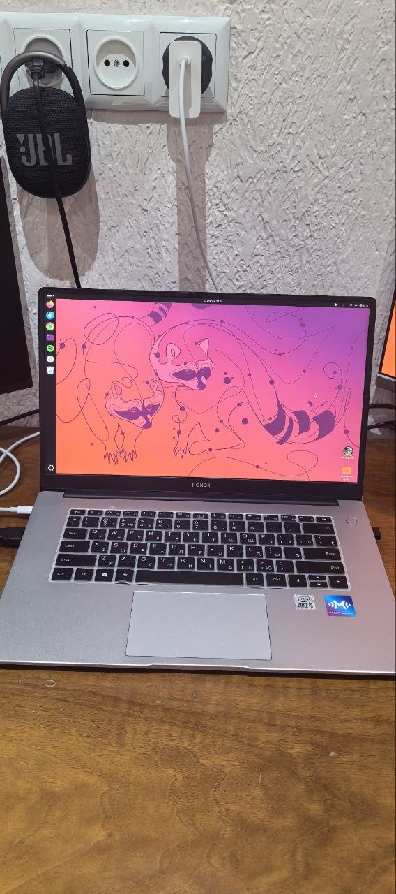 HONOR MagicBook X 15 BBR-WAI9 ноутбук