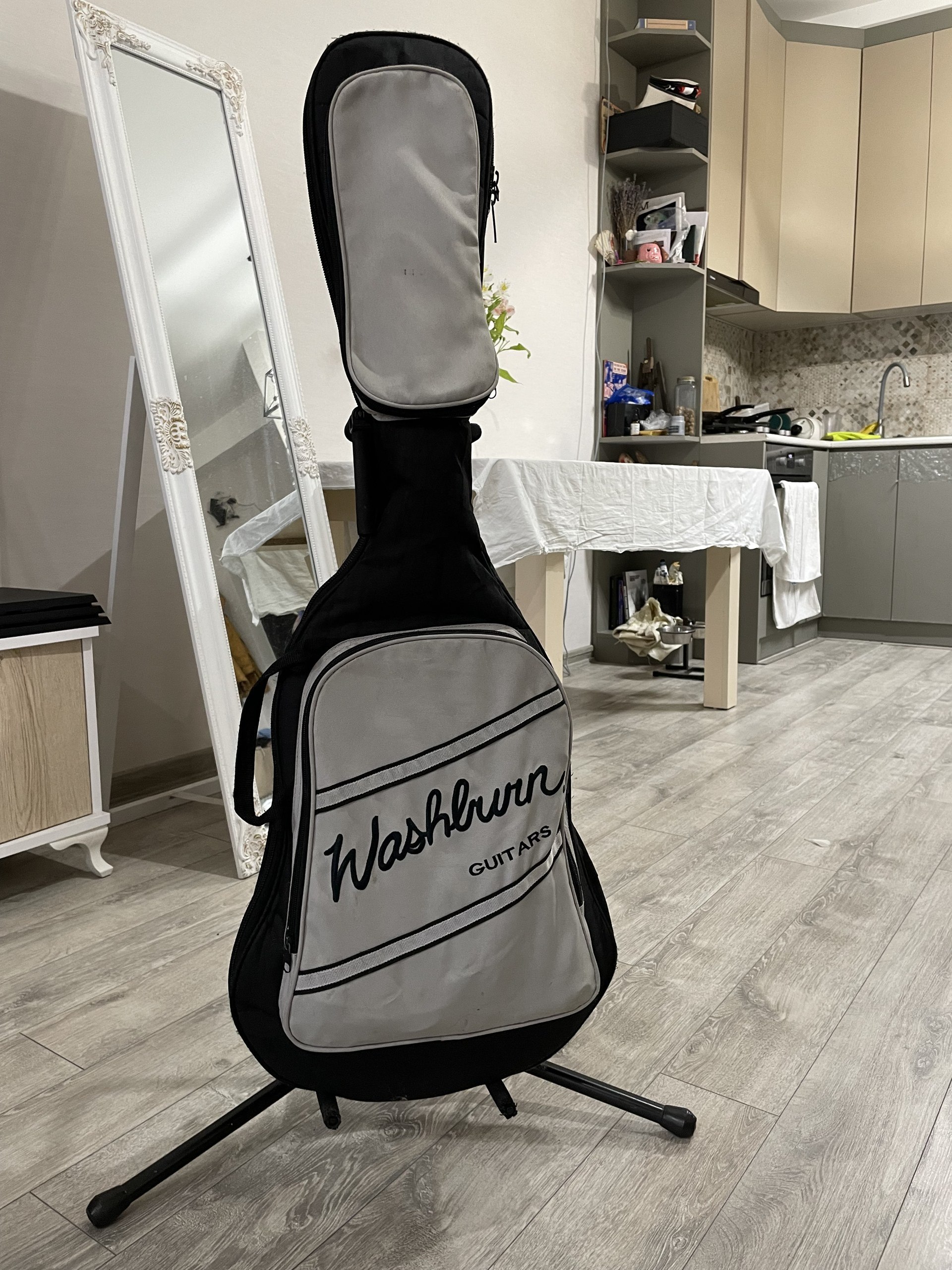 Электрогитара Washburn Pro X10 Stephen Jensen Custom
