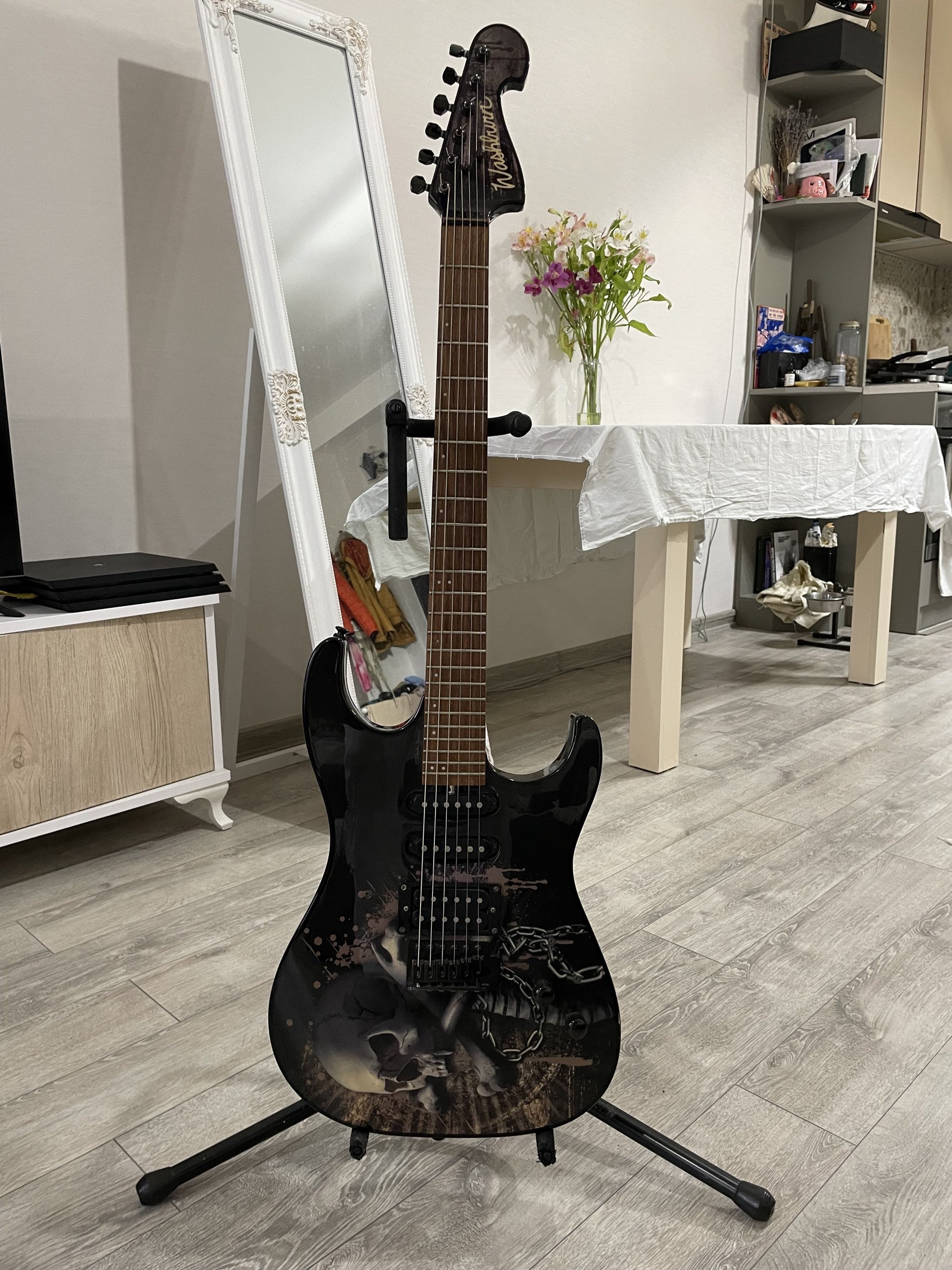 Электрогитара Washburn Pro X10 Stephen Jensen Custom