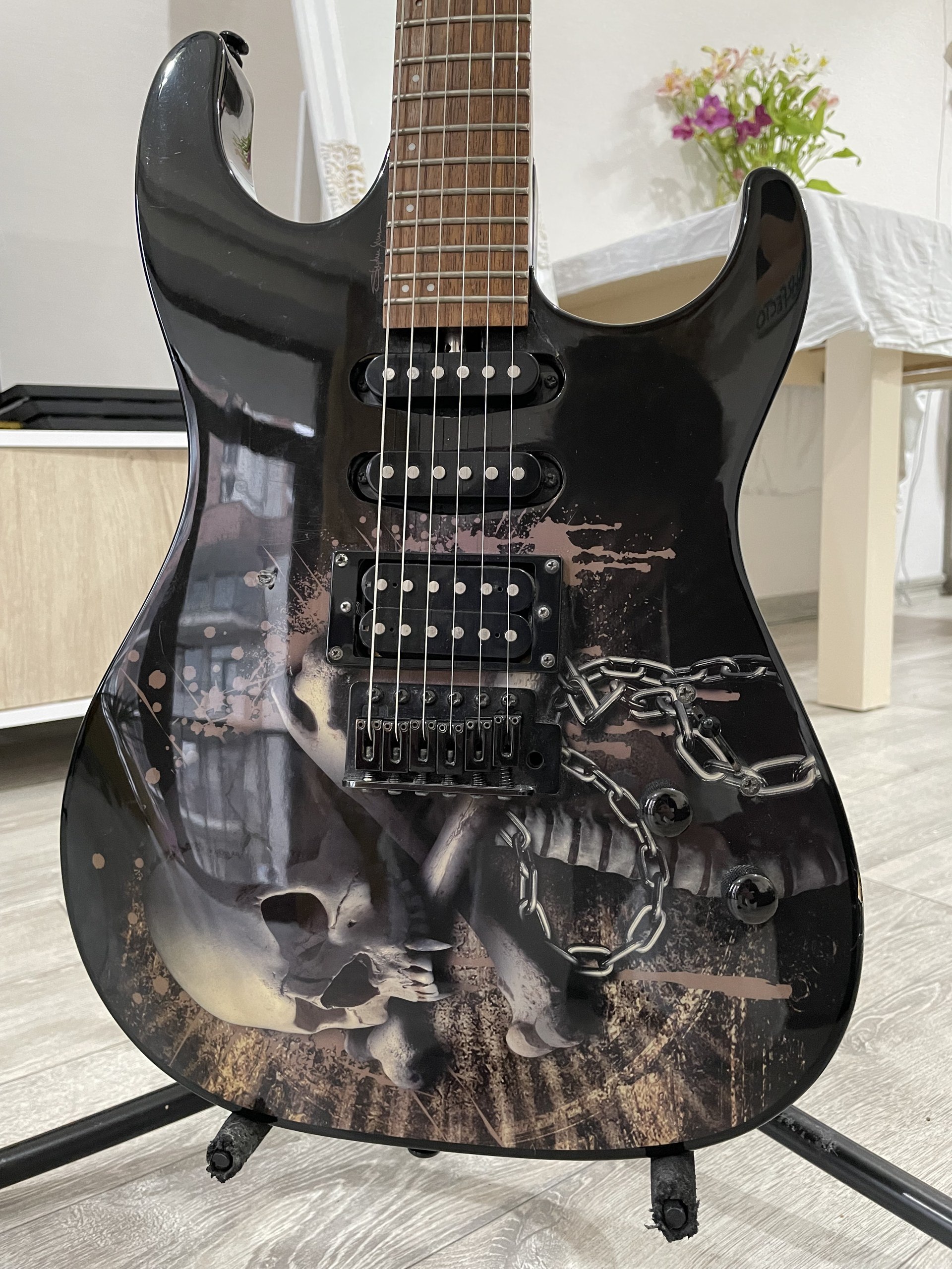 Электрогитара Washburn Pro X10 Stephen Jensen Custom