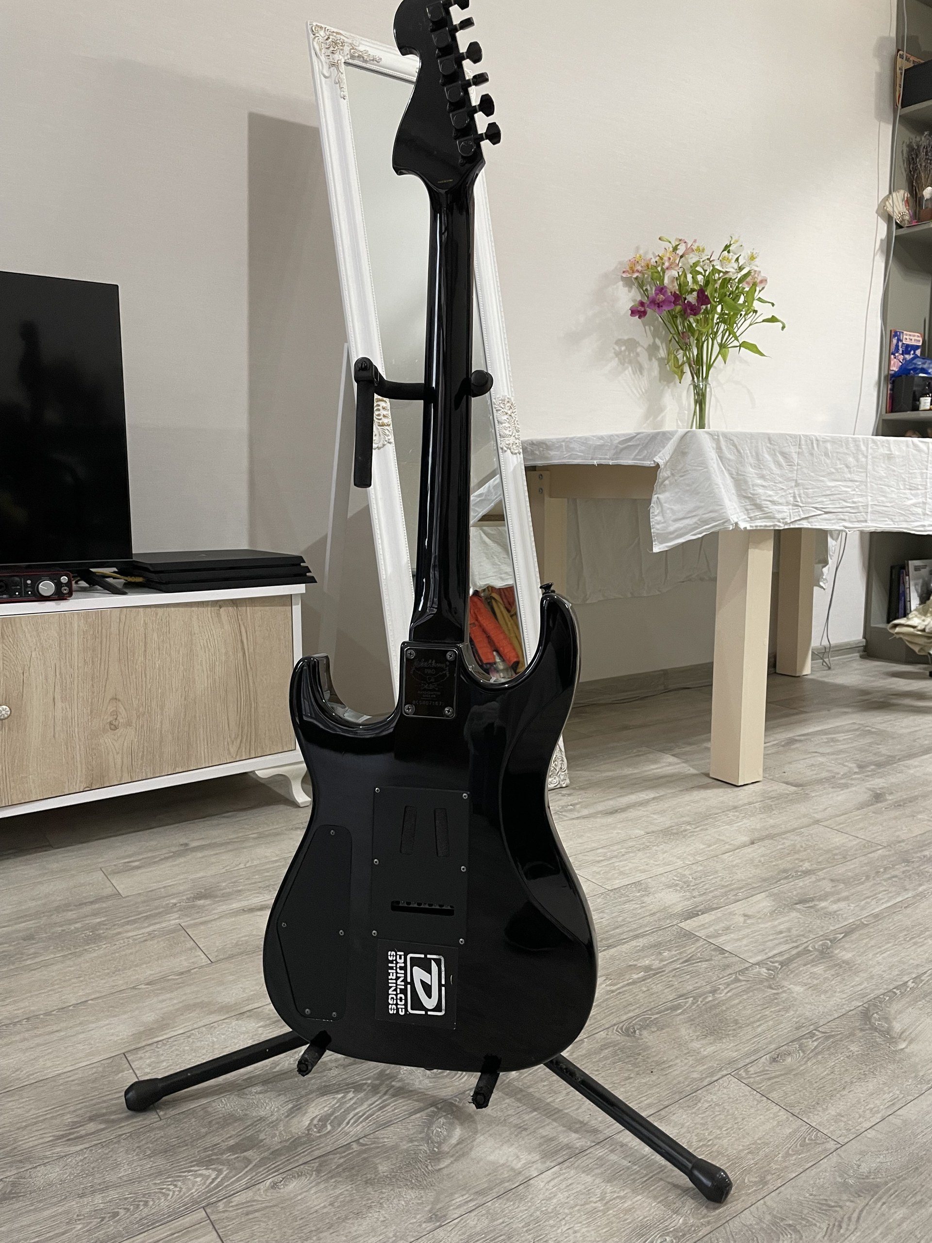 Электрогитара Washburn Pro X10 Stephen Jensen Custom