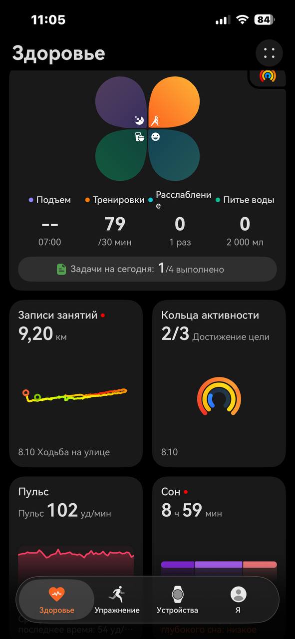 Часы HUAWEI Watch GT2