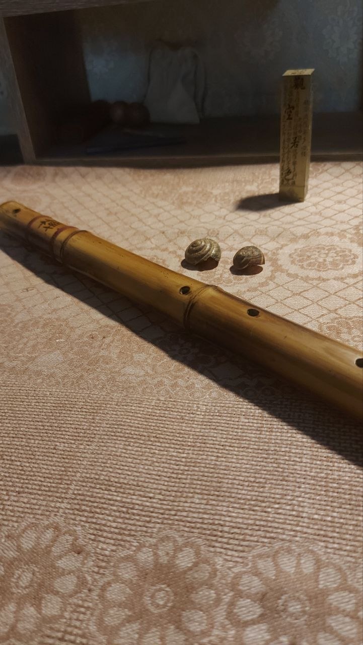 Флейта Zen-Flute (поперечная, пентатоническая)