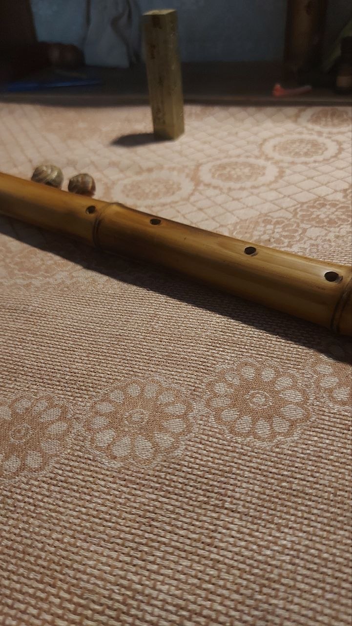 Флейта Zen-Flute (поперечная, пентатоническая)