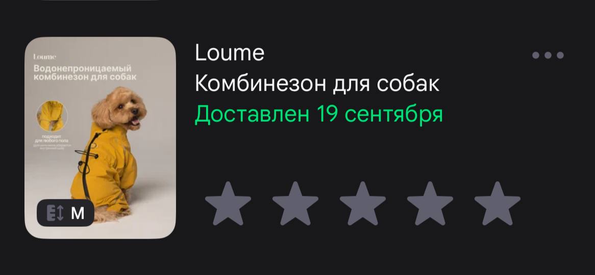 Дождевик для собак мелких пород, размер M