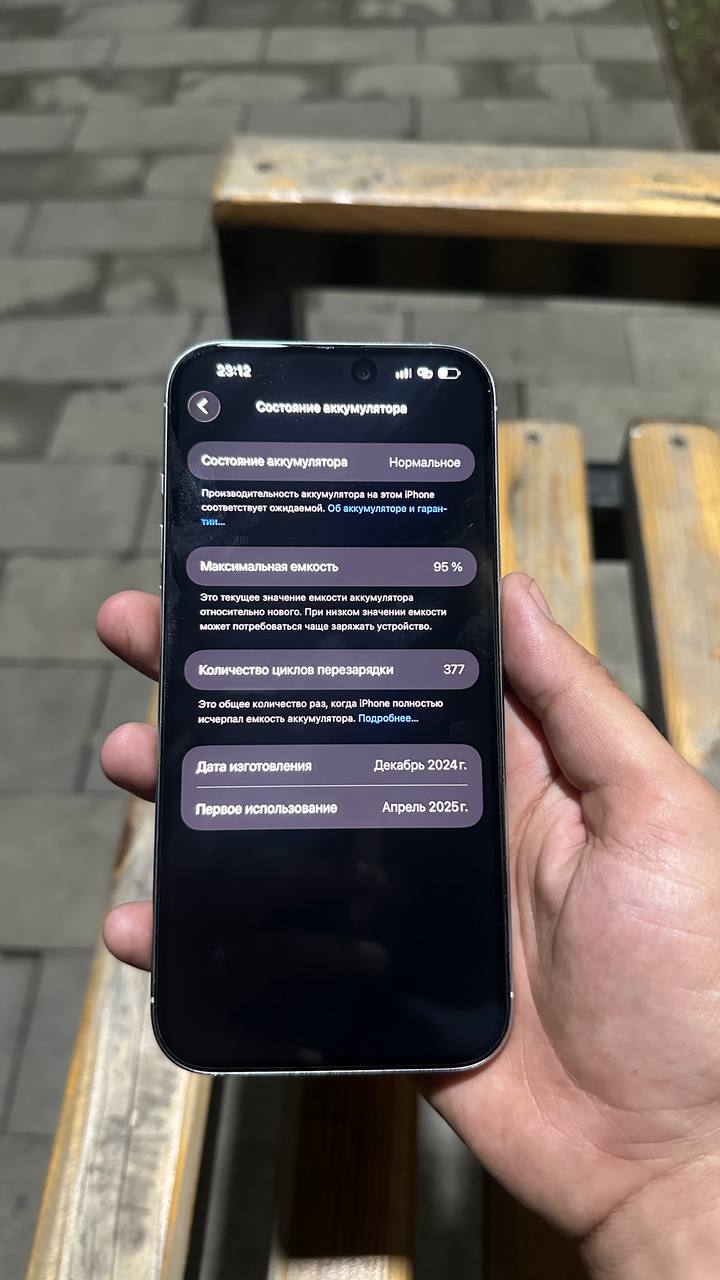 iPhone 16 Pro Max 256 ГБ