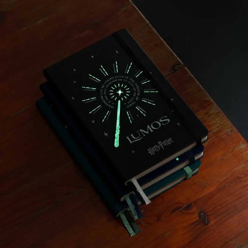 Блокнот Moleskine Wizarding World Harry Potter Cahier Large черный
