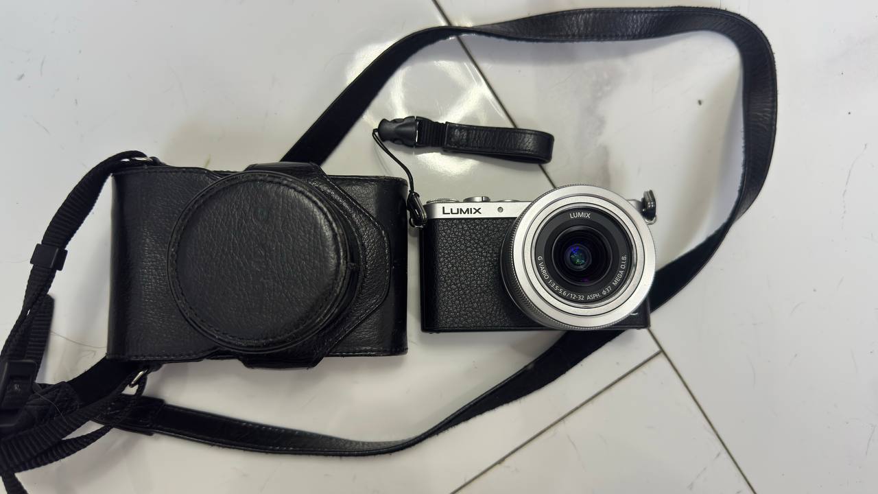 Фотоаппарат Panasonic Lumix DMC-GM1
