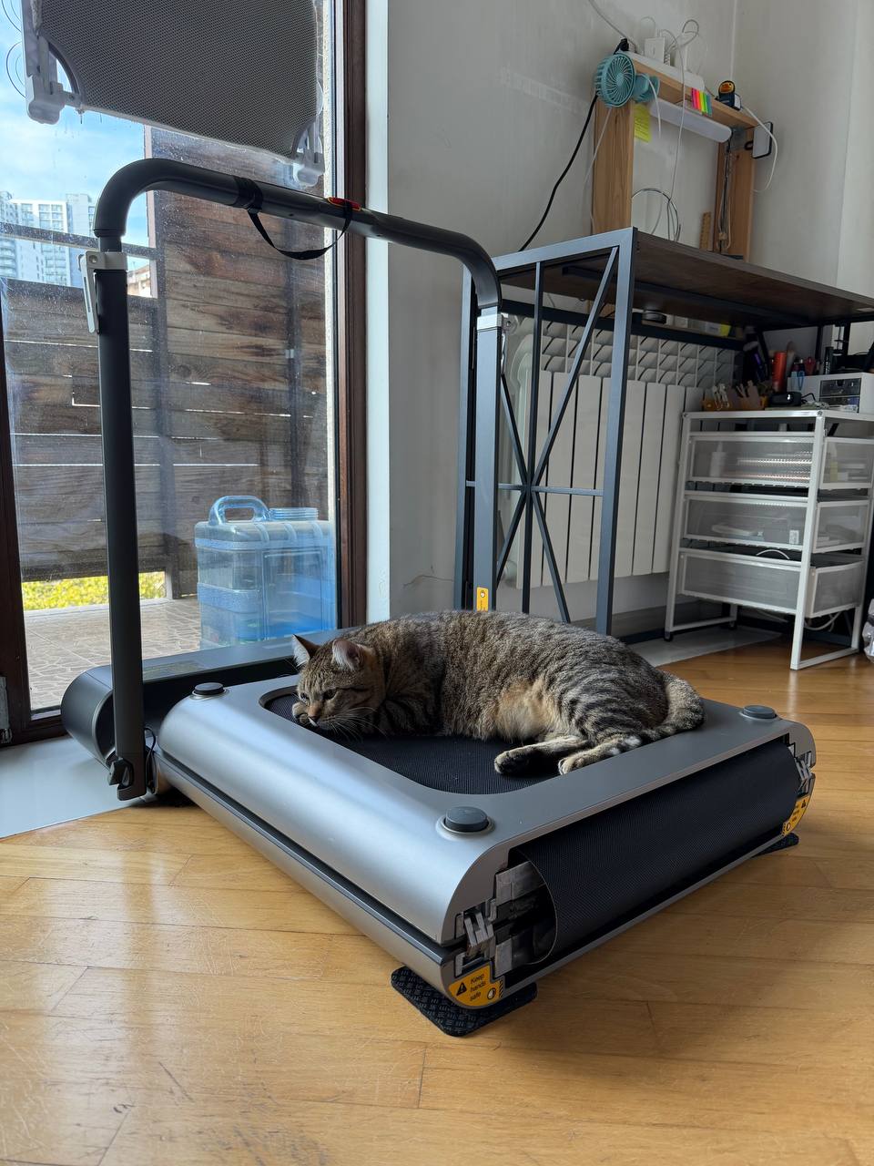 Беговая дорожка Xiaomi Kingsmith WalkingPad Treadmill