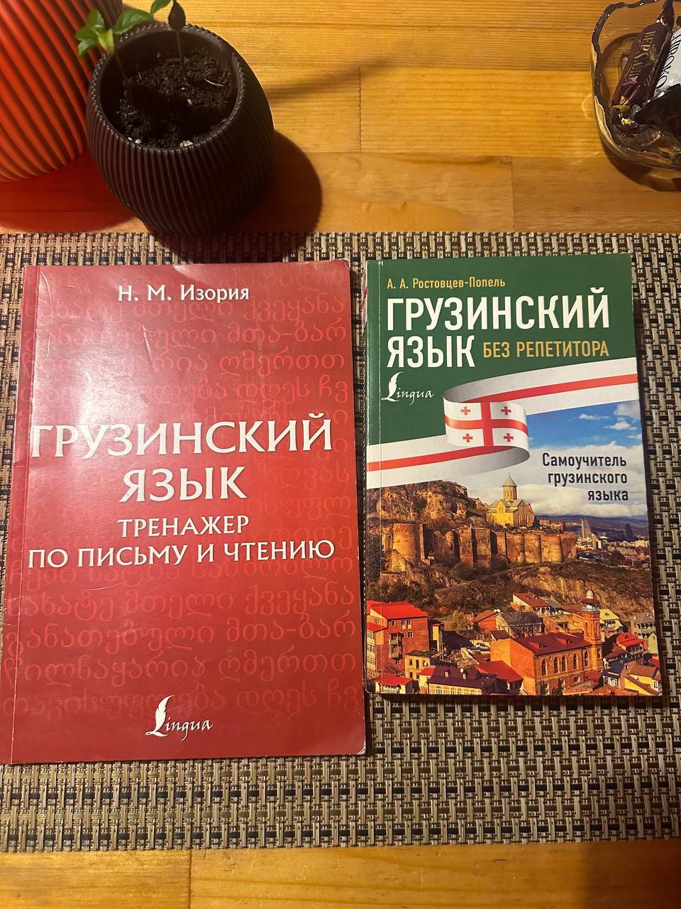 Самоучитель и тренажёр по письму по грузинскому языку (2 книги)