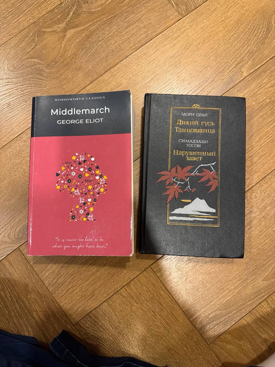 Middlemarch (книга)