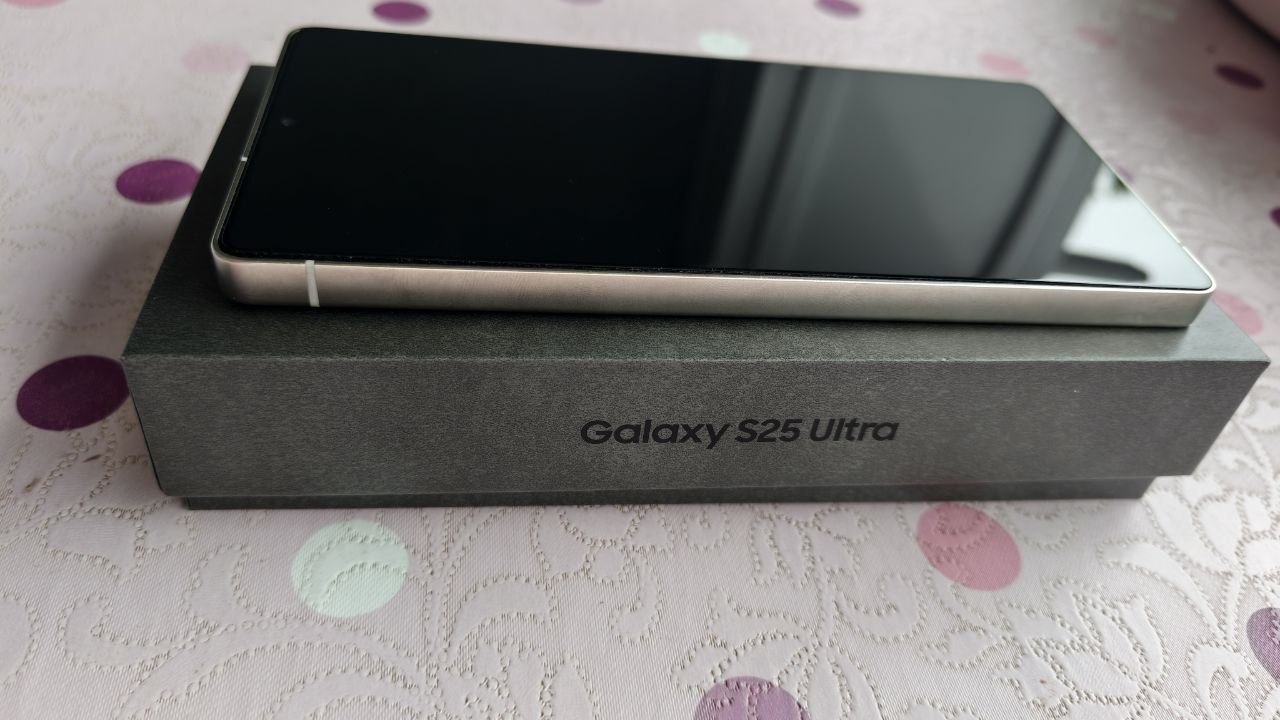 Samsung Galaxy S25 Ultra 12/256 2 SIM