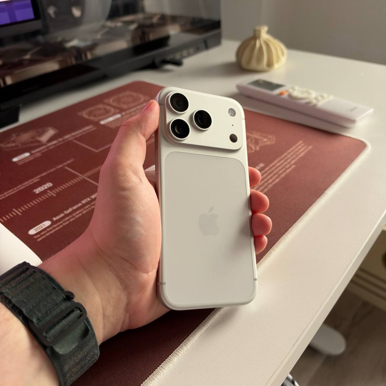iPhone 17 Pro 256 GB (Silver)