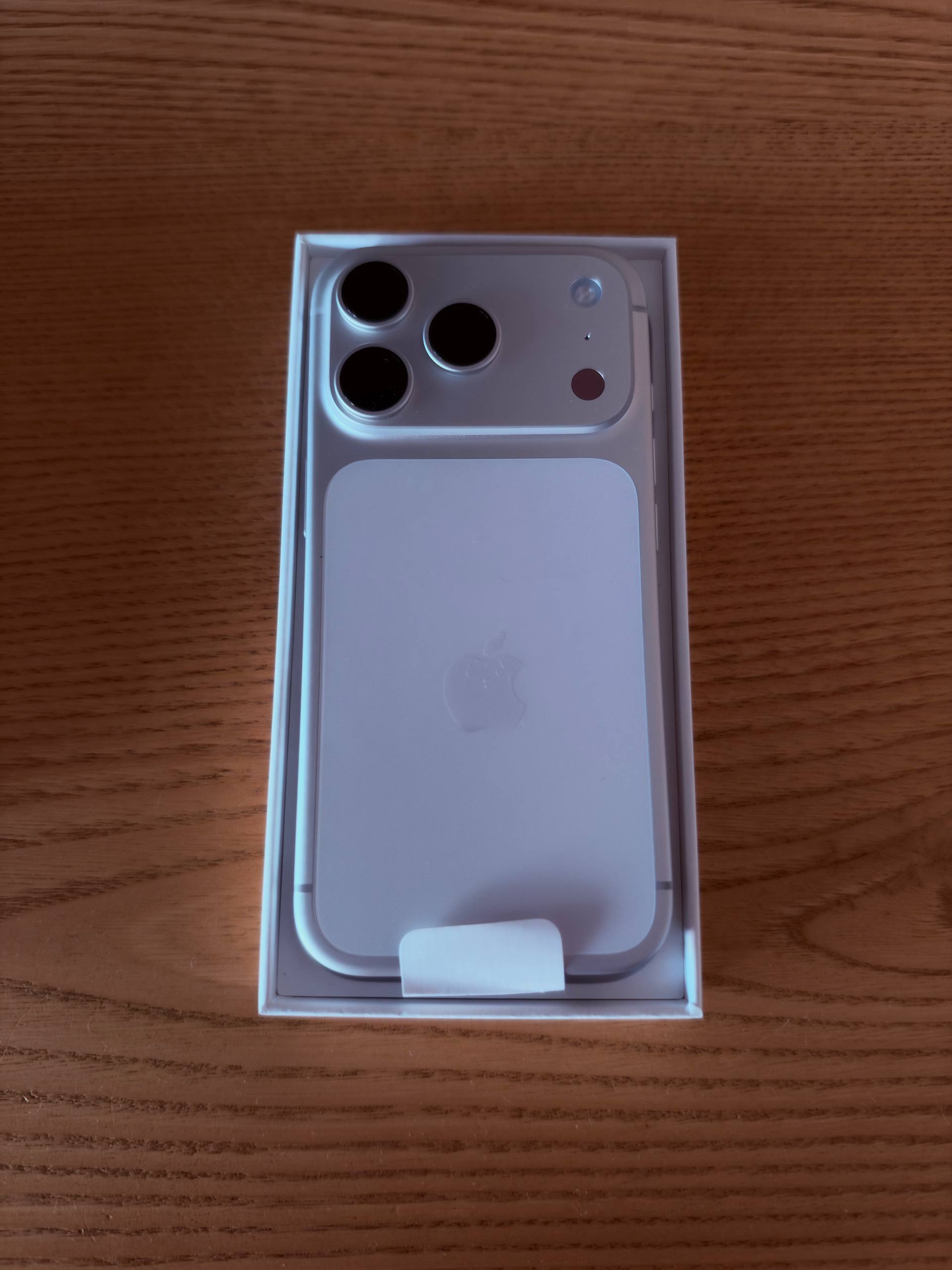 iPhone 17 Pro 256 ГБ