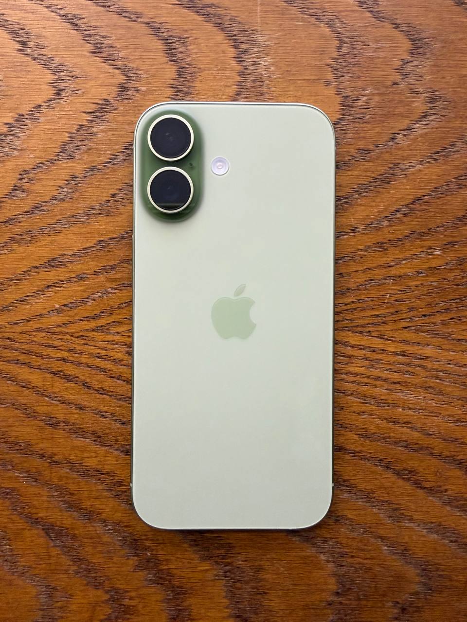 iPhone 17 256 GB Sage