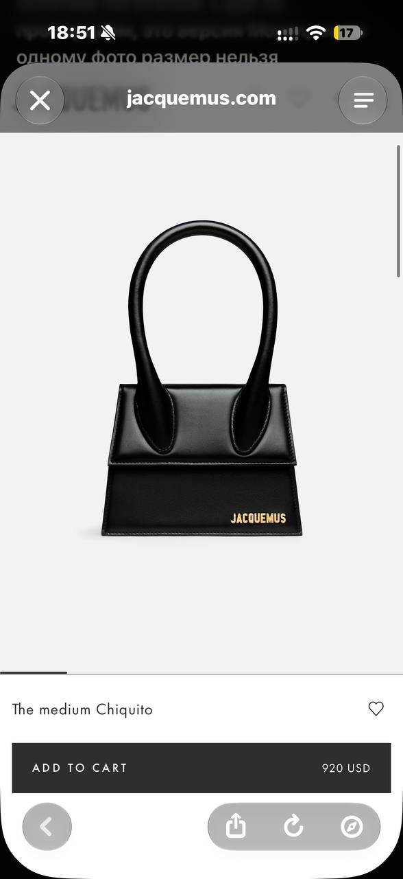 Сумка Jacquemus среднего размера оригинал