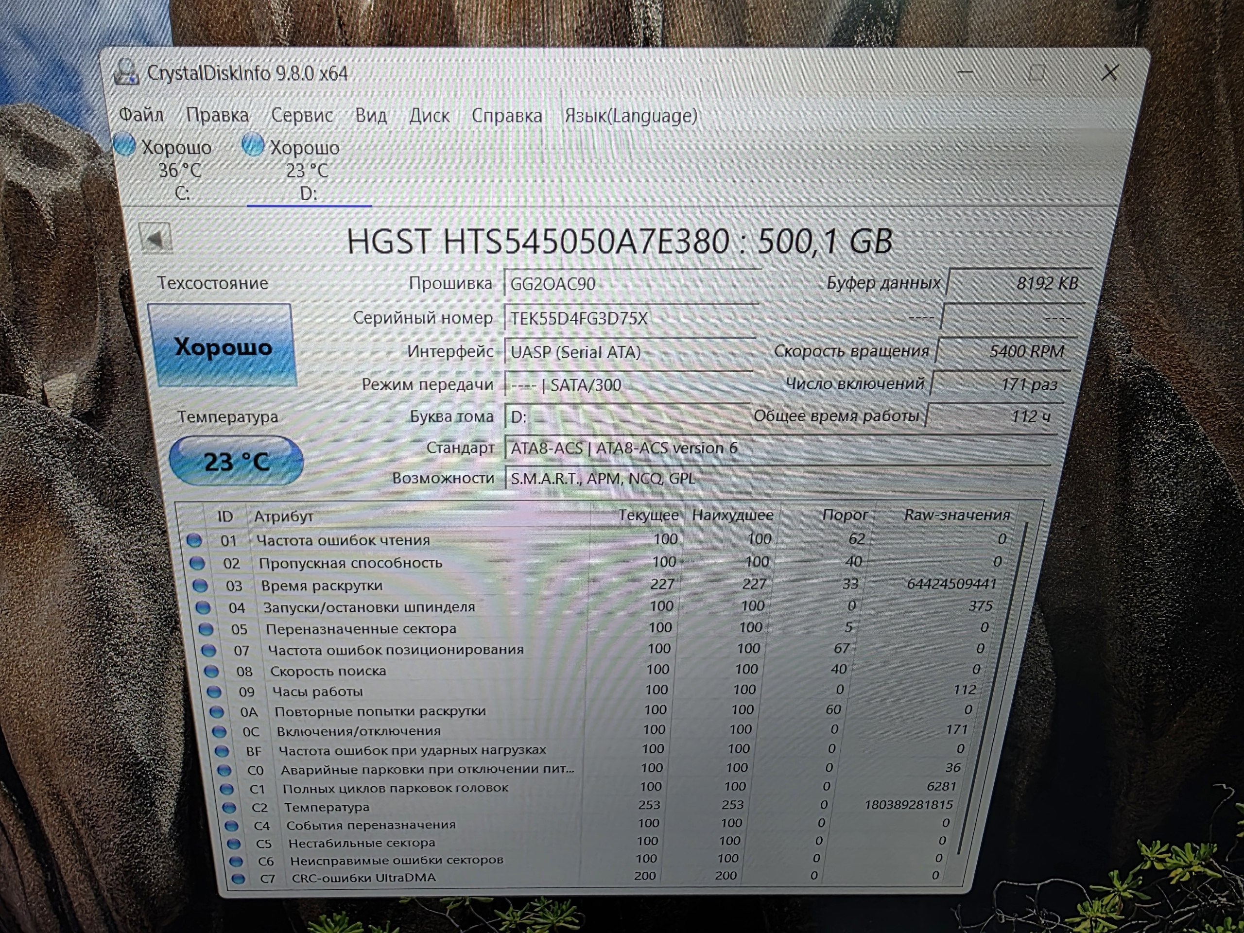 Внешний HDD Western Digital Touro MX3 500 ГБ