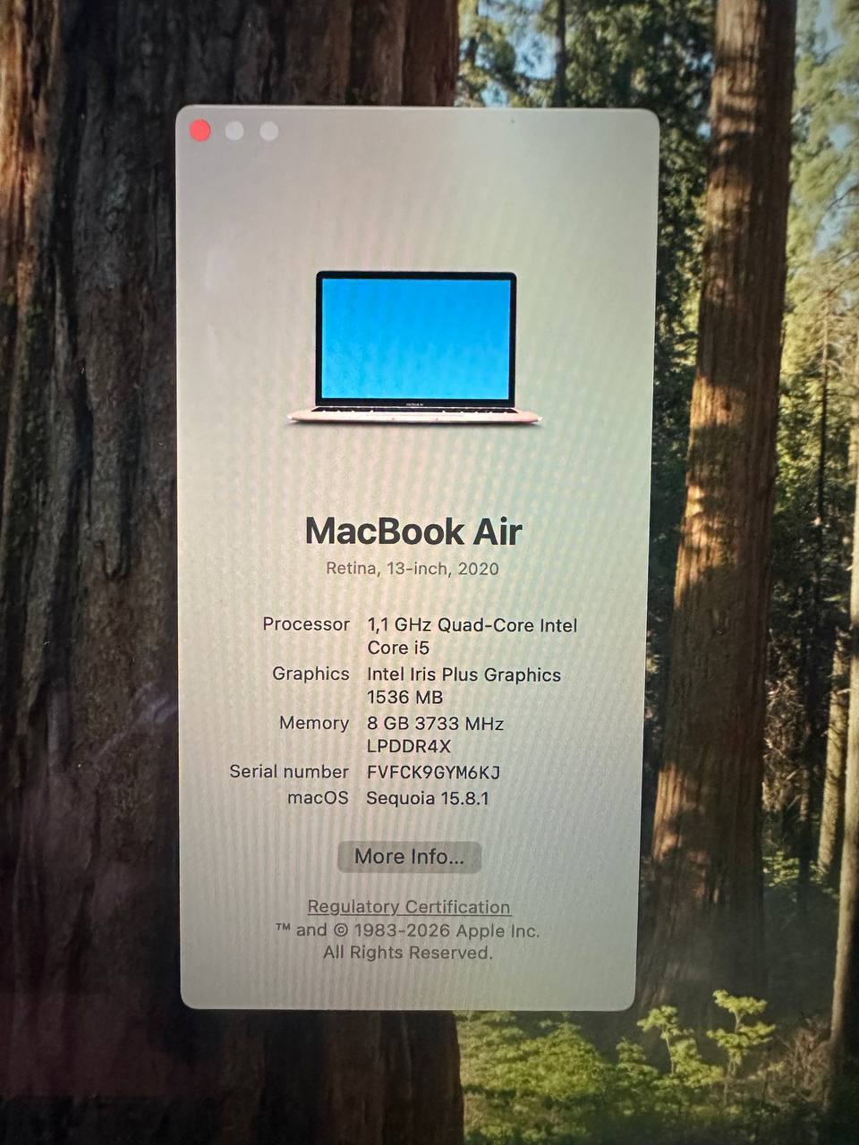 MacBook Air (Retina, 13-inch, 2020) A2179