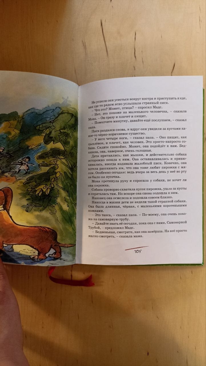 Книга «Папа, мама, бабушка, восемь детей и грузовик»