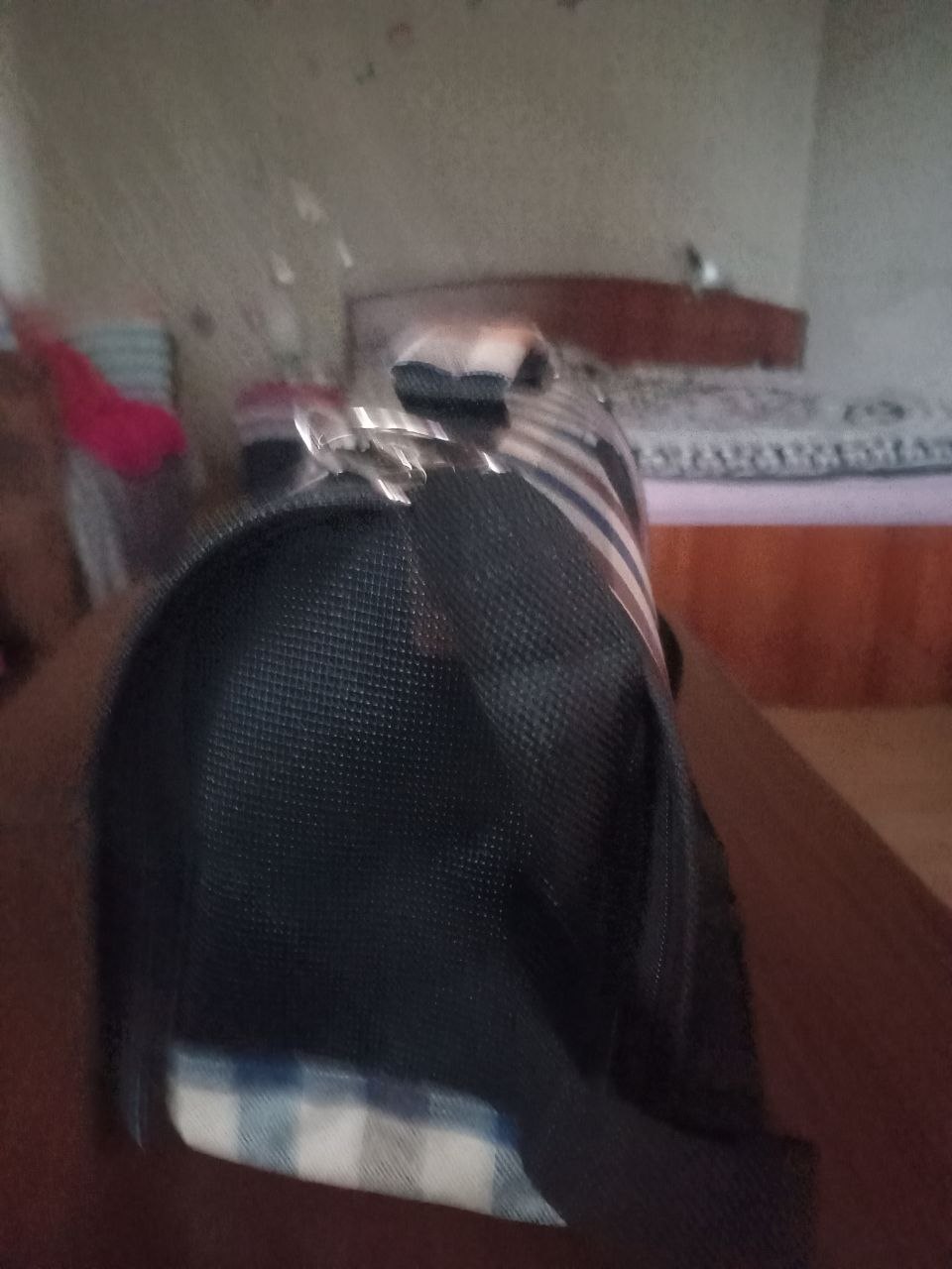 Переноска для животных